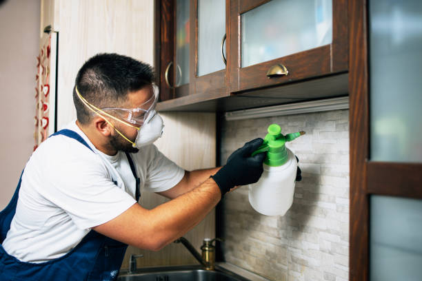 Best Best Pest Control Companies  in Hooper, NE