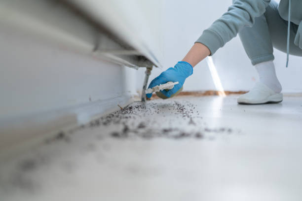 Best Emergency Pest Control  in Hooper, NE