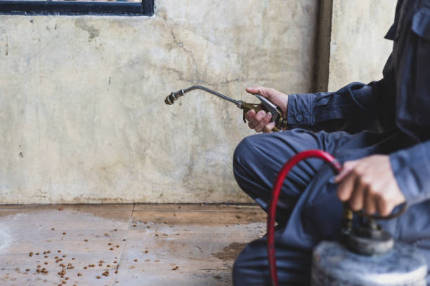 Best Wasp Removal Services  in Hooper, NE