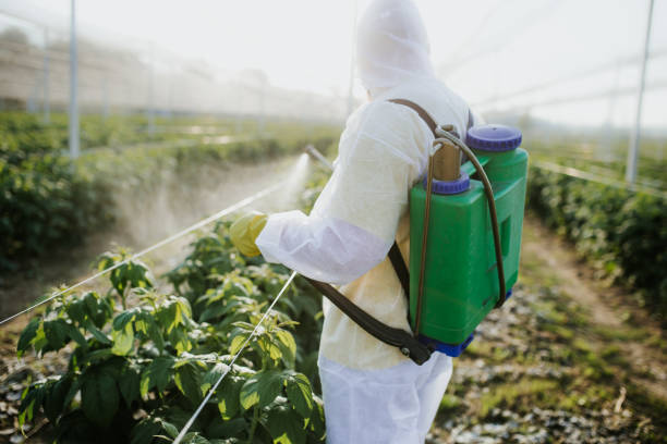 Best Commercial Pest Control Services  in Hooper, NE